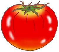 トマト・フルーツトマト・完熟トマト・赤茄子・蕃茄